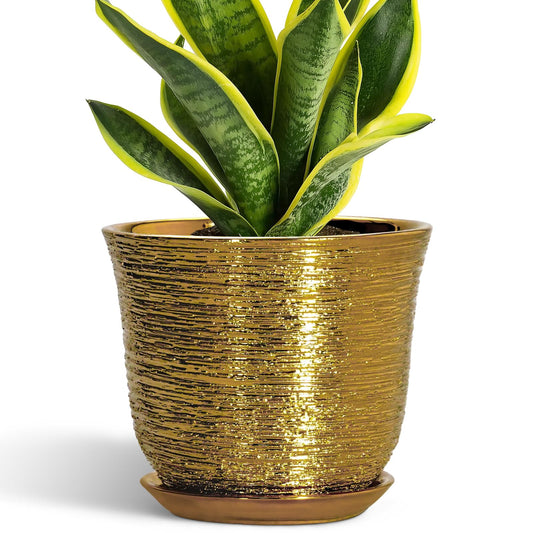 SUNPOTFOR Ceramic Plant Pots - 8 Inch Plant Pot with Drainage Hole and Saucer, Round Planter for Indoor Outdoor, Modern Flower Pot, Decorative Planter, Garden Home Office Decor, Gardening Gifts, Gold