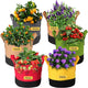 Grow Bags 10 Gallon,6 Pack Fabric Plant Pots with Handles Planter Bag for Outdoor Garden Planting Vegetables Flowers Fruit