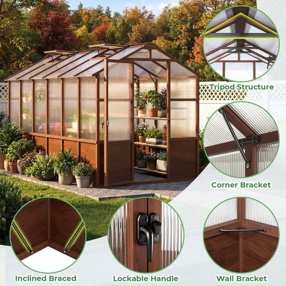 Jocoevol 6x12FT Walk-in Wooden Greenhouse for Outdoor Garden Backyard