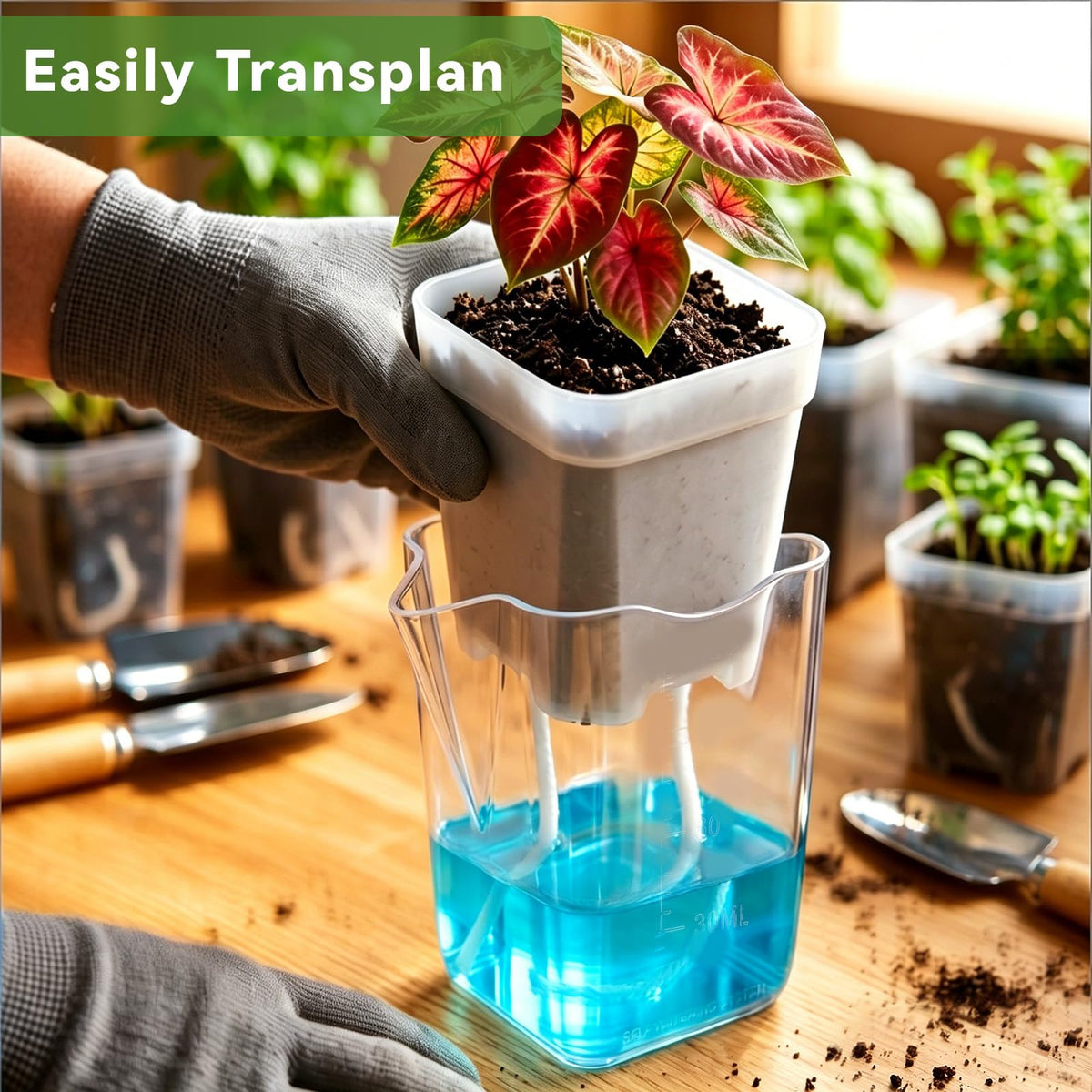 MySHUCE 20 Pack 2 Inch Small Self Watering Pots for Indoor Plants