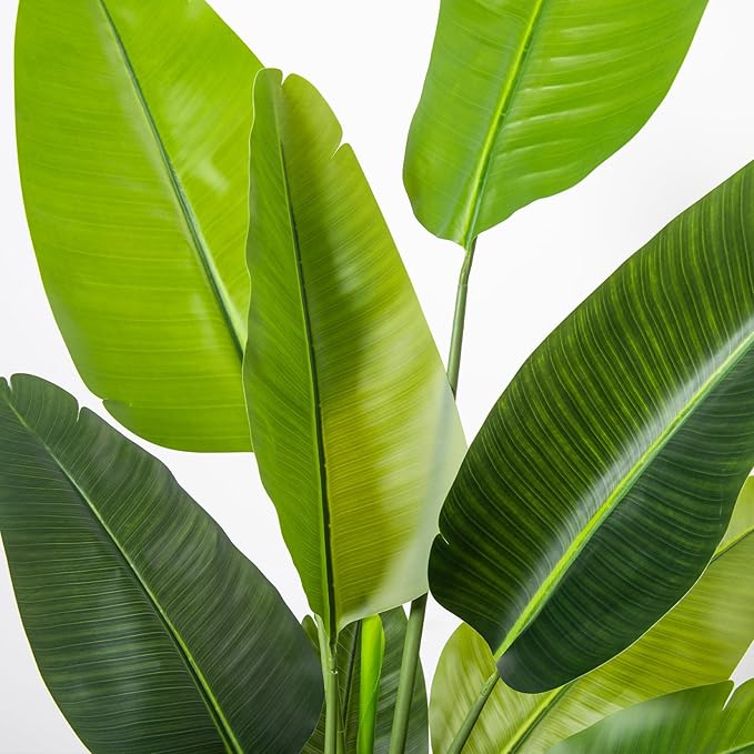 HAIHONG Bird of Paradise Artificial Plant 6FT, Faux Tropical Palm Tree with White Tall Planter, Large Fake Plants in Pot - Artificial Tree for Home Office Living Room Decor Indoor