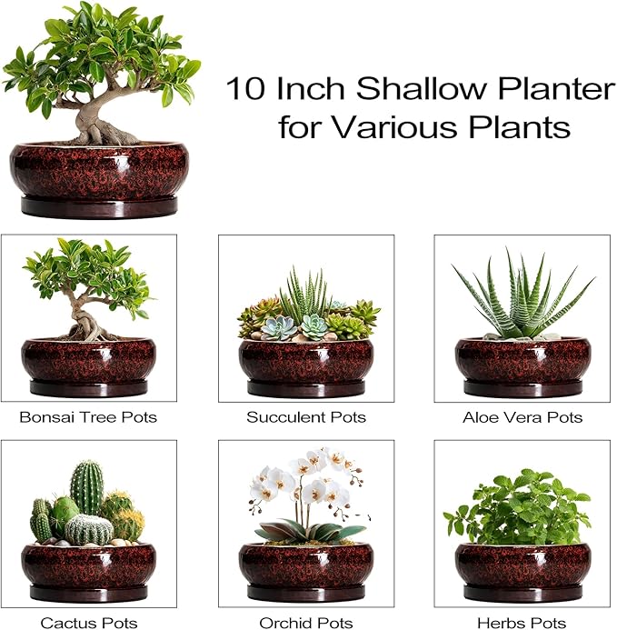 EPFamily Bonsai Tree Pots - 10 Inch Ceramic Succulent Planters for Indoor Outdoor, Bonsai Pots with Drainage Hole and Saucer, Shallow Round Planter, Planter Bowl, Patio Decor, Gifts for Women, Red