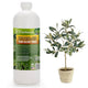 𝐏𝐑𝐎𝐅𝐄𝐒𝐒𝐈𝐎𝐍𝐀𝐋 Liquid Silica Plant Supplement - 32oz - OLIVE TREE Plants Liquid Silica Boost Fertilizer - Stronger Stems & Healthy Leaves for Indoor & Outdoor Olive Trees (Makes 180 Gallons)