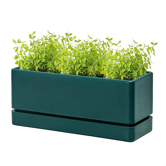 D'vine Dev 12 Inch Window Box Planter, Rectangle Plastic Herb Planter with Drainage Holes and Saucer, Indoor Succulent Cactus Vegetable Pot for Windowsill, Garden Balcony, Green, Set of 1, 76-X-C-1