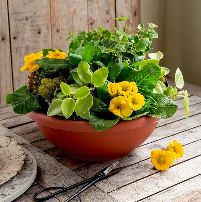 The HC Companies 20 Inch Large Garden Bowl Planter - Shallow Plant Pot with Drainage Plug for Indoor Outdoor Flowers, Herbs, Chocolate