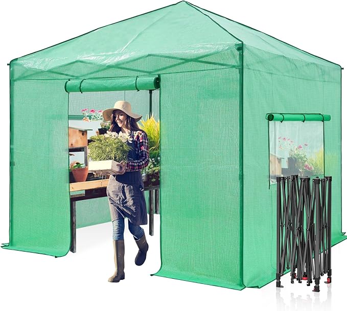 EAGLE PEAK Instant Pop-up Greenhouse, Indoor Outdoor Plant Gardening Green House, Roll-Up Zipper Doors and Side Windows, Walk in 10x10 ft, Green/Clear
