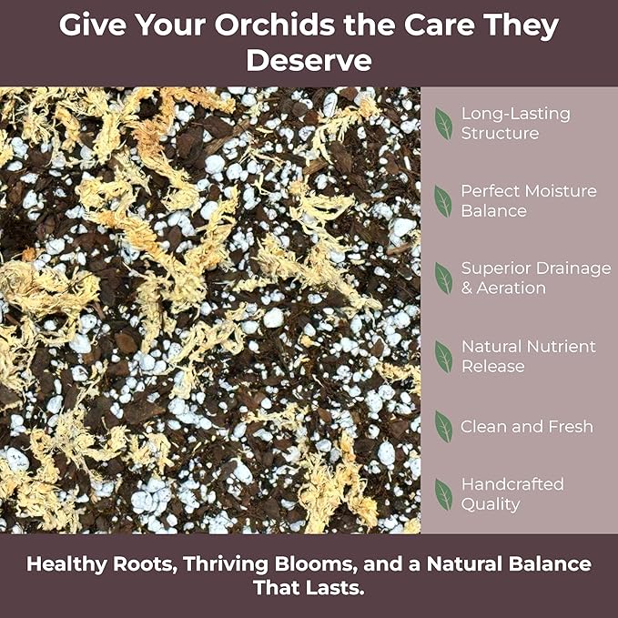 GARDENWISE Orchid Potting Mix – Orchid Bark, Sphagnum Moss, Tree Fern & Perlite for Repotting Phalaenopsis Orchids, Indoor Plants, Orchid Soil Medium – Sustrato para Orquídeas (10 Quart)