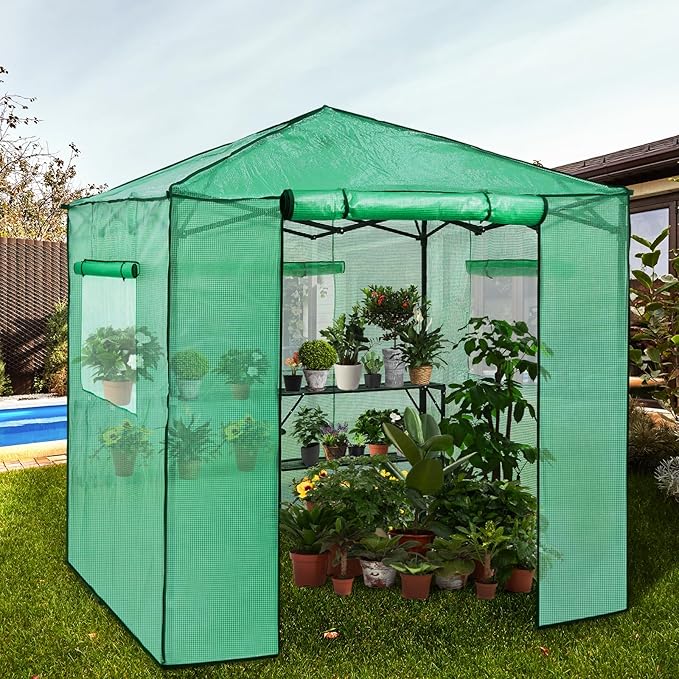 EAGLE PEAK 7x7 Pop up Greenhouse Portable Walk-in Outdoor Gardening Green House with 2 Foldable Shelves, Roll-up Zipper Entry Door and 3 Mesh Windows, PE Cover, Green/Clear