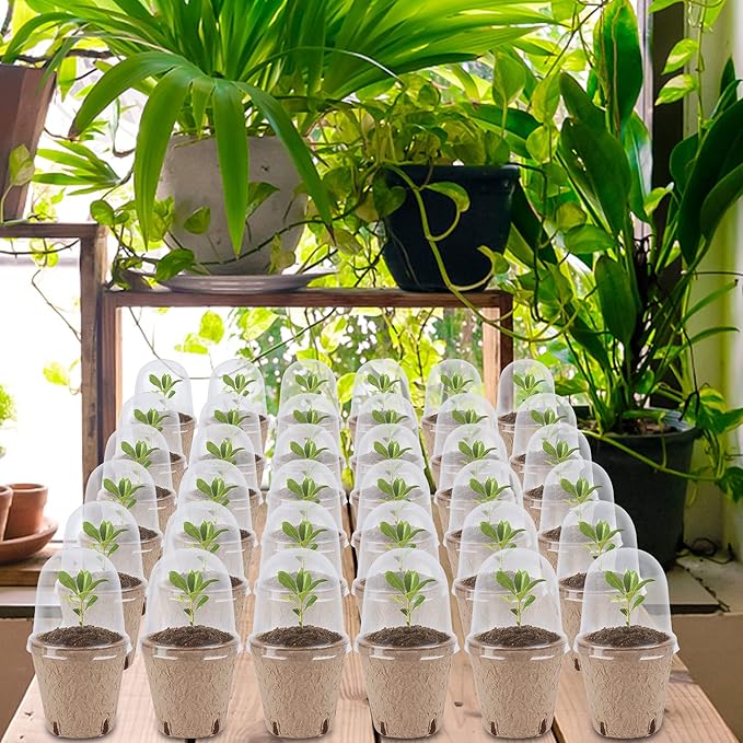 winemana 36 Set Plant Nursery Pots with Humidity Dome, Seed Starter Biodegradable Peat Pots, Seedlings Planting Pots with Labels for Indoor Outdoor Garden