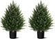 Outdoor Artificial Cedar Topiary Tree, Faux Evergreen Shrubs for Front Porch Decor, Lifelike Fake Bushes Plants for Home Living Room Front Door Decor (2, 2ft)