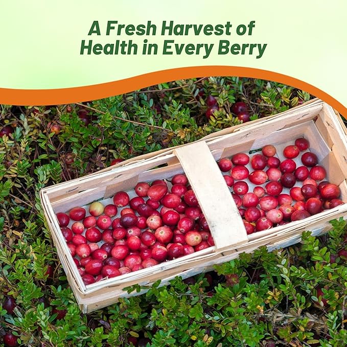 Outsidepride Cranberry Seeds - 500 Pcs. Perennial, Easy to Grow & Low Maintenance, Fruit Seeds for Planting Nutrient-Rich Berries with Purple Blooms for Pollinator Gardens & Container Displays