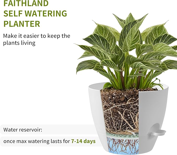 FaithLand 3-Pack Planter Pots, 10 9 8 Inch Self Watering Flower Pots for Indoor Outdoor Garden Plants, White