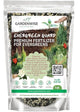 Evergreen Fertilizer – All-Purpose Granular Plant Food for Outdoor Trees and Shrubs, Azaleas, Magnolias, Pines & Arborvitae – Slow-Release Formula (2 quarts)