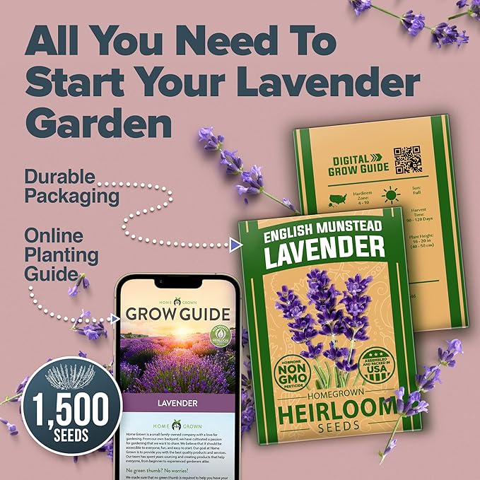 HOME GROWN English Lavender Seeds 2 Pack 3000 Non GMO Wildflower Seed, for Planting Indoor Outdoor High Germination Flower Seeds (Lavandula antustifolia)