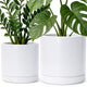 D'vine Dev 8.2 Inch & 10 Inch Ceramic Planter Pot for Plants with Drainage Hole and Saucer, Large Plant Pots Set, White, 94-G-L-1