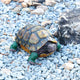 Sdeetesamjun Turtle Statue,Resin Garden Sculpture Indoor/Outdoor Yard Lawn Ornament,Home Decor (Extra Large)