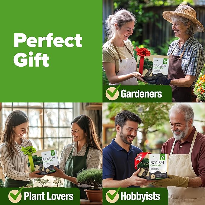 HOME GROWN Bonsai Tree Kit – 6 Heirloom Varieties with Unique Pots – DIY Bonsai Starter Kit for Adults & Beginners – Christmas Gift for Men Women Gardeners Plant Lovers – Indoor Growing Kit