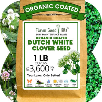 Flawn Seed Kits White Dutch Clover Seed, 1 Lb, Organic Coated, Natural Lawn, Ground Cover, Hunting Food Plot, Covers up to 3,600 Sqft