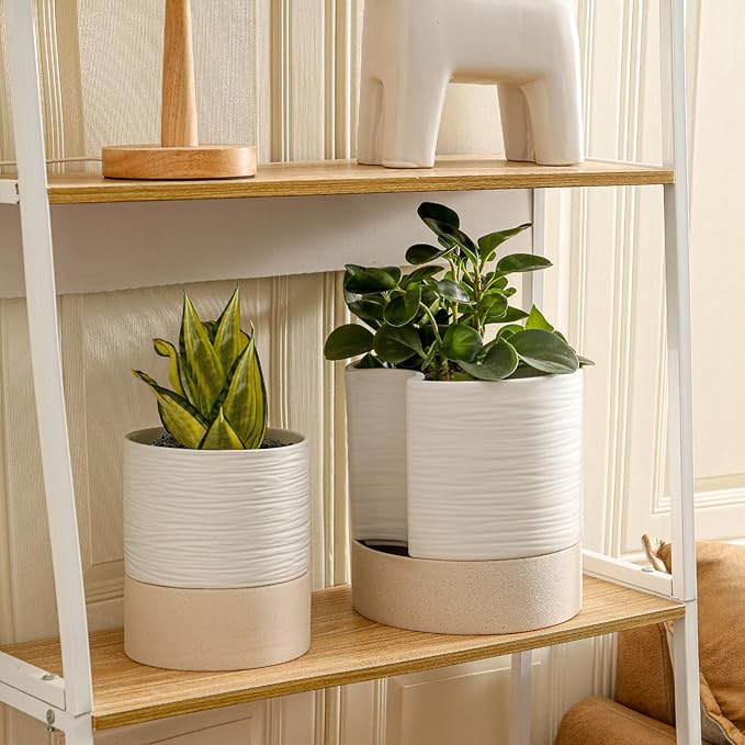 Nihow Self Watering Plant Pot: 8 Inch Ceramic Planter with Drainage Hole & Water Storage Plus for Indoor & Outdoor Plants - Cylinder Round Flower Pot for Succulent/Herbs/Violets - White & Brown