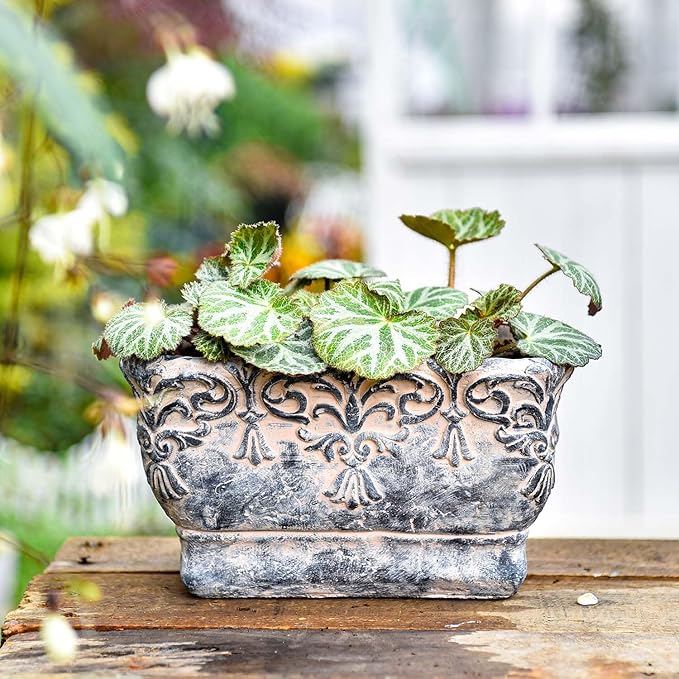 Sungmor 9.2 Inch Cement Plant Pot for Plants, Succulent Planter with Embossed Design, Vintage Concrete Flowerpots with Drainage Hole, Decorative Orchid Houseplant Pot Indoor Outdoor Plant Container