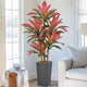 Roselywed Artificial Red Dracaena Tree 5FT with 90 Leaves & 6 Heads & Gray Tall Planter Cover with Coconut Fiber Tall Faux Tropical Silk Bicolor Plant 60 Inch for Indoor Home Office Porch Mall Decor
