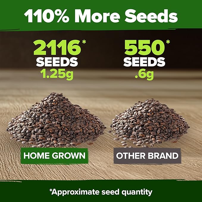HOME GROWN Non GMO Catnip Seeds (Bulk Pack) Heirloom Herb 2,116 Seeds - Indoor or Outdoor Seed - High-Germination Cat Nip - Cat Safe Plants (Nepeta cataria)