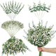 Serwalin 25PCS Mixed Eucalyptus Stems with Baby's Breath Greenery