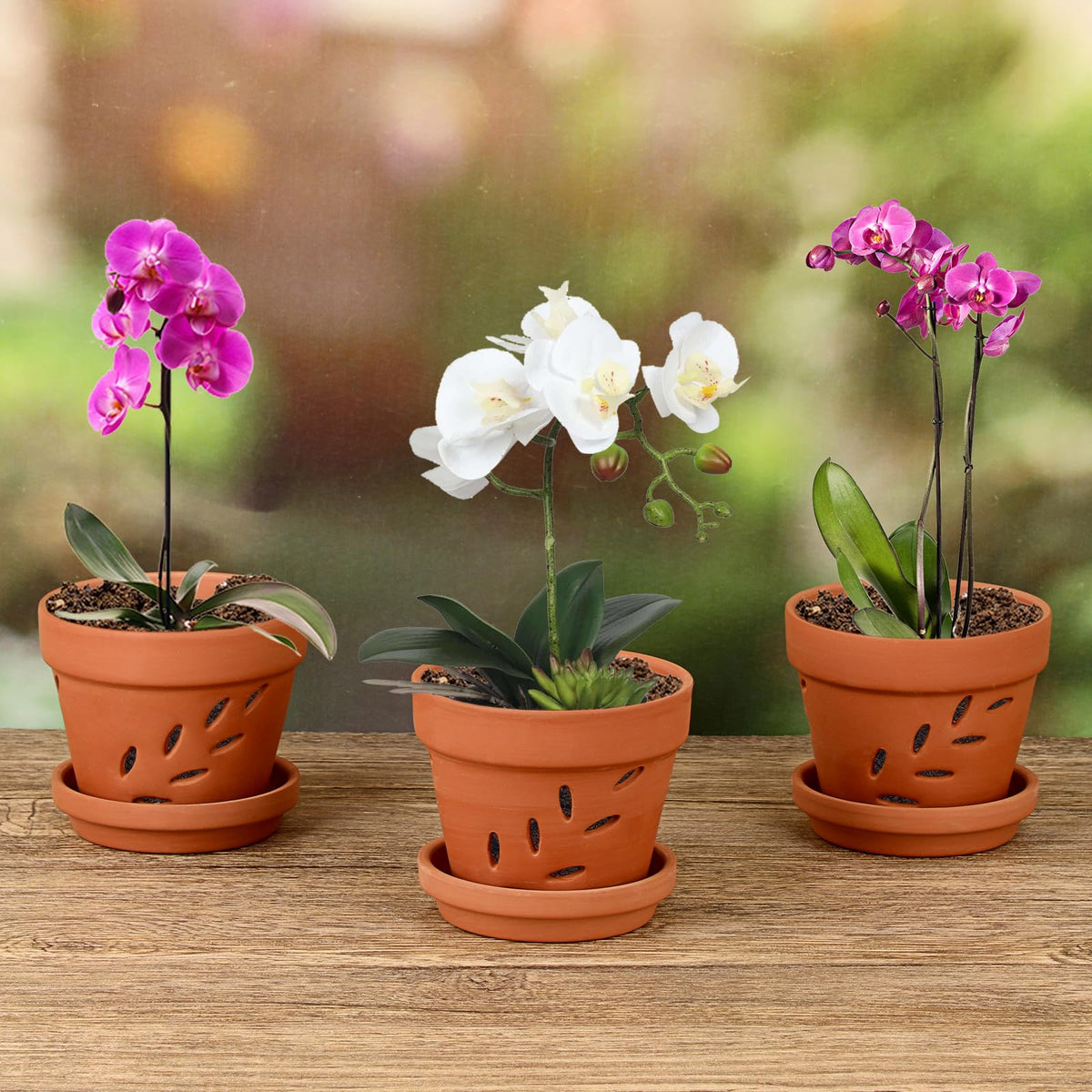 JUXYES 4" Hollowed Out Small Terracotta Orchid Pots with Holes and Saucer