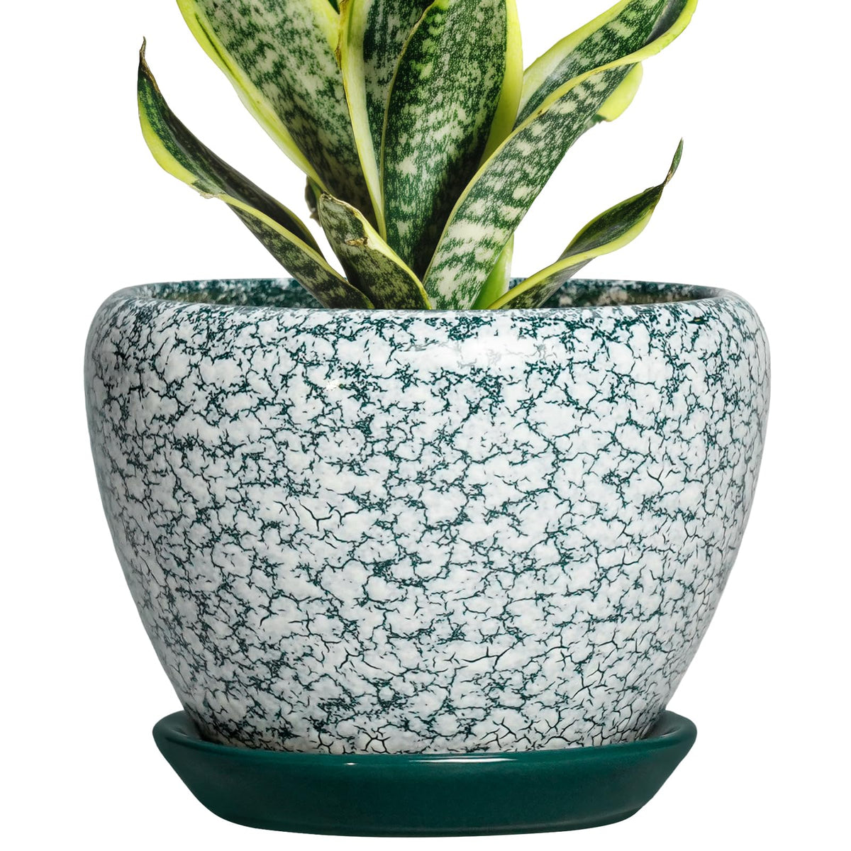 Thirtypot Ceramic Plant Pot, 6 Inch Planters Indoor, Crackle Green