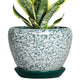 Thirtypot Ceramic Plant Pot, 6 Inch Planters Indoor, Crackle Green