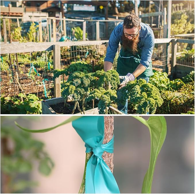 4 Rolls Stretch Tie Tape, 1” Wide 200FT Reusable Garden Plant Ties Green Tapes for Plants, Thick Garden Vinyl Stake Ribbon for Branches Flowers Tomatoes Indoor Outdoor Greenhouse