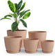 Utopia Home - Spotty Plant Pots Indoor with Drainage - 7/6.6/6/5.3/4.8 Inches Flower Pots - 5 Pack Plastic Planters - Ideal for Stocking Stuffers - (Speckled Peach Pink, Pack of 5)