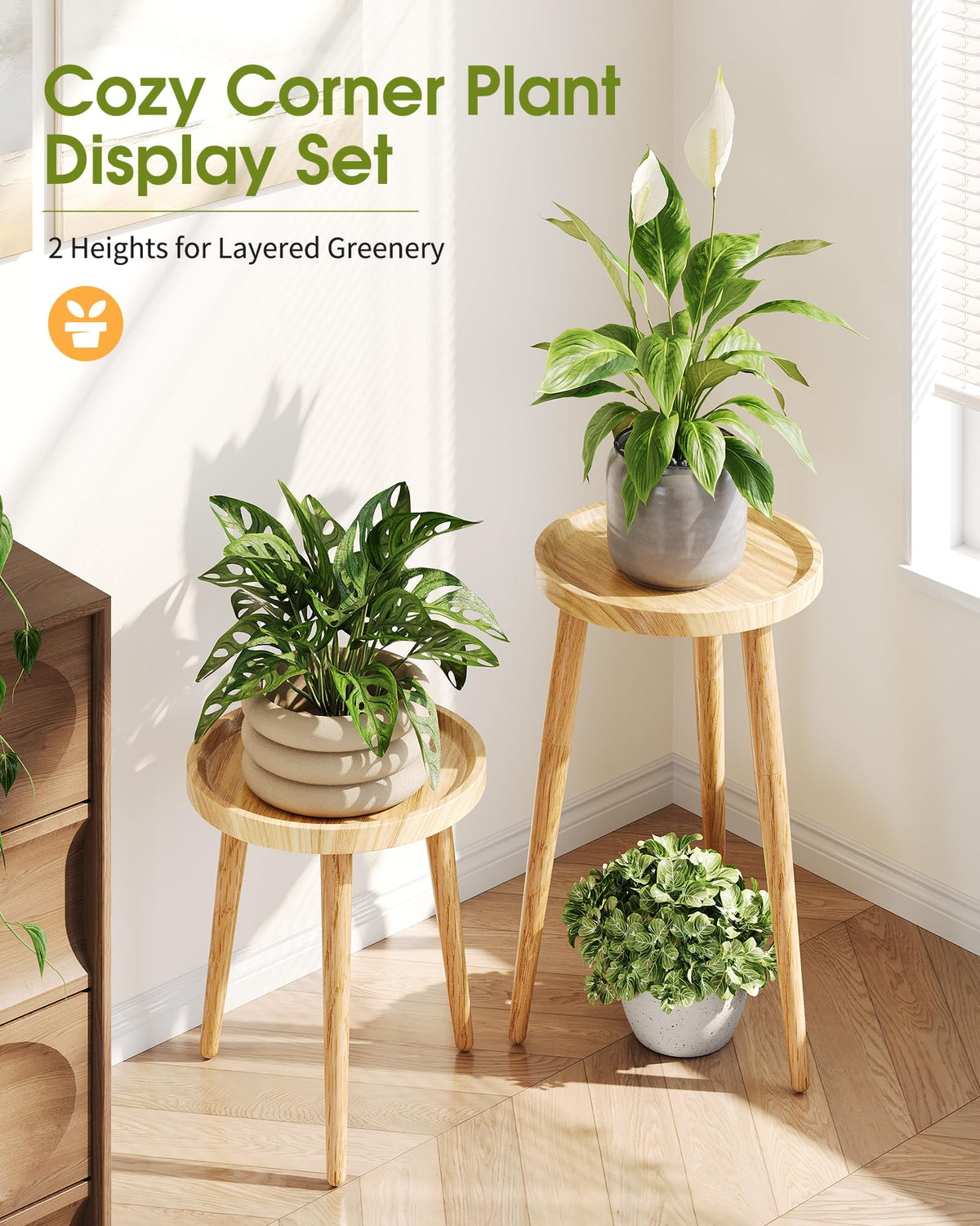 AZADESJET Plant Stand Indoor 2 Pack, Mid Century Wood Indoor Plant Stands, Tall Plant Holder for Flower Pot, Modern Plant Table Round Side End Table With Raised Design, Natural, 11.7"x18.8" & 11.7"x13"