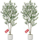 Olive Trees Artificial Indoor, 2 PCS 6FT Faux Olive Tree with Tall Pot, Natural Wood Trunk Treemote and Leaves, Fake Plant for Home Office Bedroom Decor