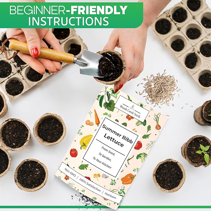 Summer Bibb Heirloom Lettuce Seeds for Planting - Over 2,700 Non-GMO Seed Pack for Growing Indoors, Outdoors, or as Hydroponic Seeds - Beginner-Friendly Green Leaf Lettuce Seed | Woods Creek Seeds