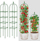 Garden Trellis for Climbing Plants Outdoor & Indoor - 6Ft Tall Rustproof Plant Support Cage for Vines, Flowers, Vegetables, Roses | Heavy-Duty, Adjustable & Decorative (3)