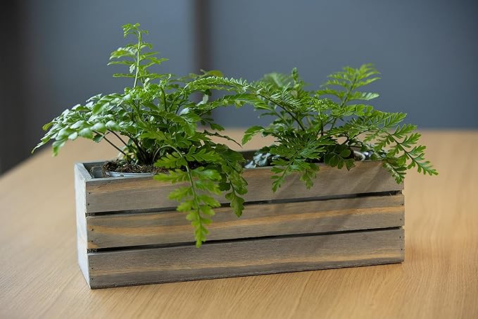Wood Planter Box with Wine Crate Styled, 12x4 Inch Rectangular, Rustic Barn Wood, Plastic Liner, Wedding Flowers Holder, Home and Venue (12x4 Wine Crate Set of 4, Natural)