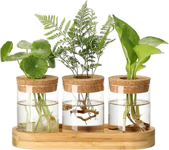 onepeng 3Pcs Propagation Stations, Plant Terrarium with Lid and Wooden Stand,Desktop Glass Planter Hydroponics Vase,Home Office Living Room Decor Gifts