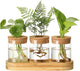 onepeng 3Pcs Propagation Stations, Plant Terrarium with Lid and Wooden Stand,Desktop Glass Planter Hydroponics Vase,Home Office Living Room Decor Gifts
