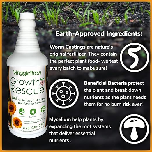 Wrigglebrew Organic Liquid Fertilizer Concentrate from Worm Castings. Non-toxic, All-Purpose, Plant Food for Gardens, Vegetables, Fruits, Houseplants, Seed Starters, and Ornamentals. (16 Fluid Ounces)