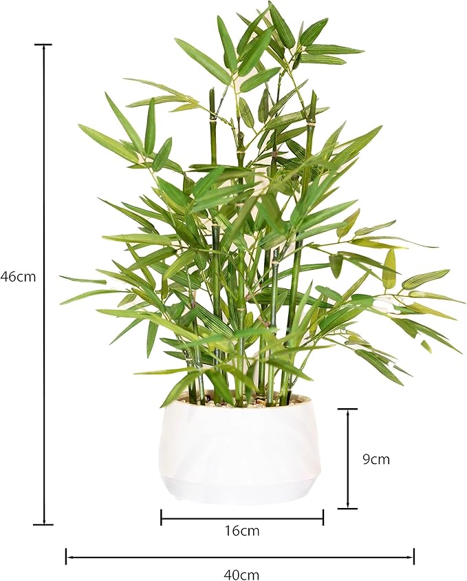 365 Blooming Decor 18 Inch Tall White Potted Faux Bamboo Plant - Luxury Artificial Bamboo in White Pot for Home, Office, Kitchen, Counter Top, Indoor Decor, Money Tree, Lucky Tree