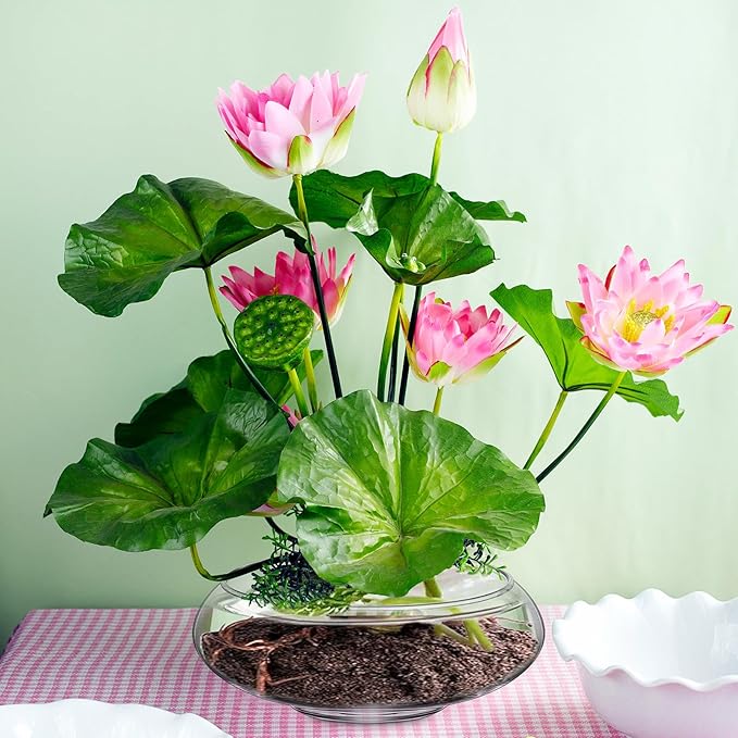 Baderke 3 Pcs Hydroponic Planter Lotus Flower Pot Planter Lotus Bowl Clear Glass Fish Bowl Vase for Planting Indoor Home Decor Water Lily Narcissus Planting Water Lily (7.09in)