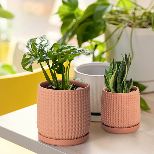 D'vine Dev Beaded Terracotta Planter Pots, 4/6 in,Terra Cotta, 27-D-U-7