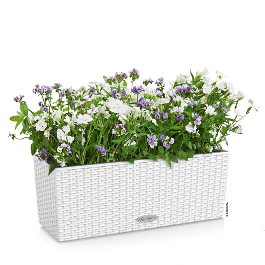 Lechuza BALCONERA Cottage 50 White, Self-Watering Window Box (Railing Planter), H7.5 L19.7 W7.5 in