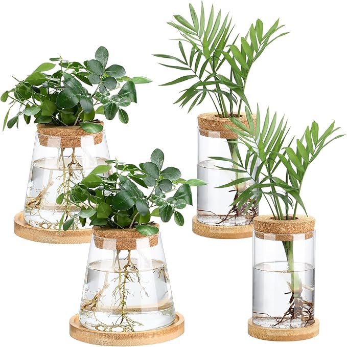 Layhit 4 Pcs Plants Propagation Stations vases Glass Planters with Wooden Lid and Bamboo Stand for Hydroponic Plants Gardening Gifts for Women Mom Home Office Tabletop Decoration(Stylish Style)