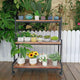 YCCO Rustic Plant Stand with Wheels 37“ H, Rolling Plant Shelves Rack Indoor Outdoor,Metal Plant Stand with Solid Wood for Multiple Plants,Industrial Ladder Plant Flower Shelf for Garden,Living Room,Brown