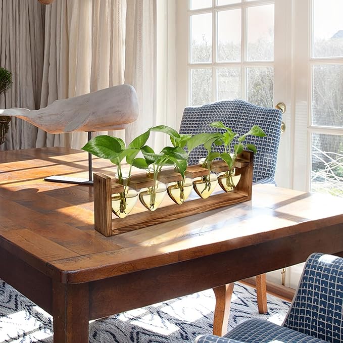 Plant Terrarium Hanging Propagation Stations Gift for Women Air Plants Holder with Wooden Stand Heart Glass