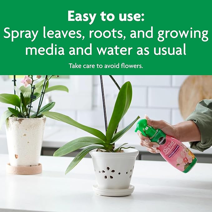 Miracle-Gro Ready to Use Orchid Plant Food Mist, Indoor Orchid Plants, 8 oz, 3-Pack