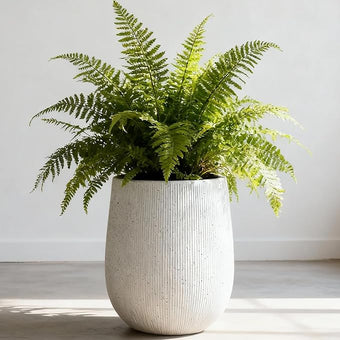 Worth Garden White Large Round Planter, 12.5" Dia x 18.5" H Lightweight Magnesium Oxide Cement Plant Pot with a Striped Textured Finish, Raised Pattern Concrete Look, Drainage Hole, Indoor & Outdoor