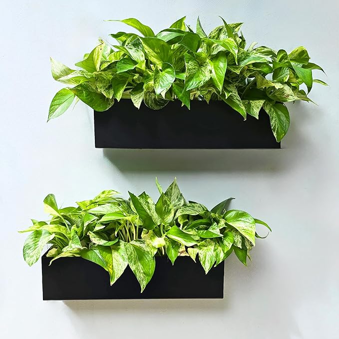 LaLaGreen Wall Planter (16 Inch, 2 Pack) Rectangular Metal Hanging Flower Pot for Succulents Carbon Steel Black, Long Window Sill Box Modern Fence Floating Garden Shelf for Deck Indoor Outdoor Decor